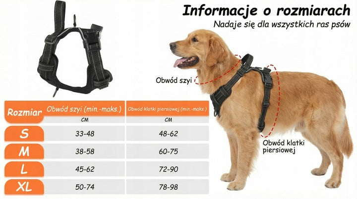 SZELKI DLA PSA ŚWIECĄCE LED MOCNE BEZUCISKOWE LEKKIE WYTRZYMAŁE Z UCHWYTEM