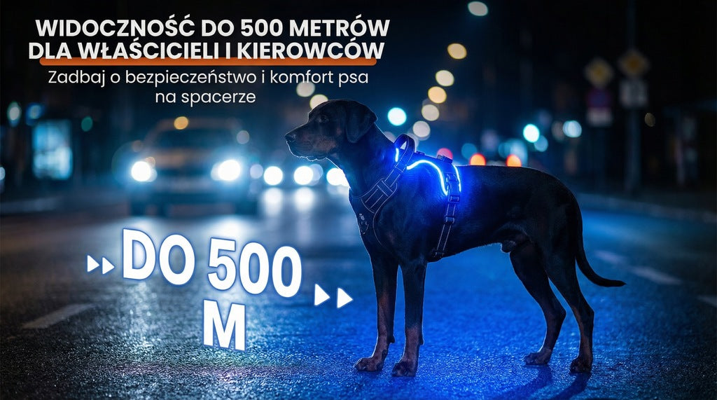 SZELKI DLA PSA ŚWIECĄCE LED MOCNE BEZUCISKOWE LEKKIE WYTRZYMAŁE Z UCHWYTEM