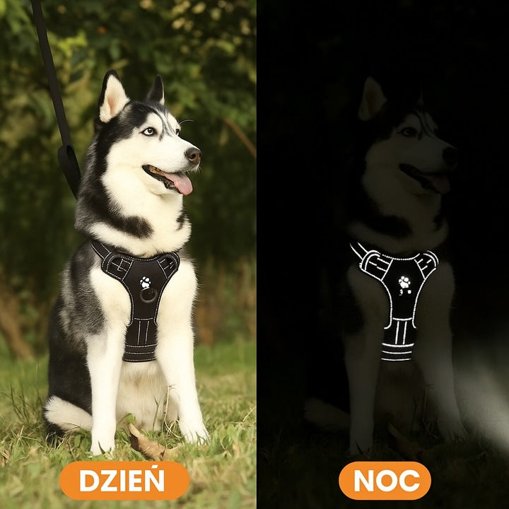 SZELKI DLA PSA ŚWIECĄCE LED MOCNE BEZUCISKOWE LEKKIE WYTRZYMAŁE Z UCHWYTEM