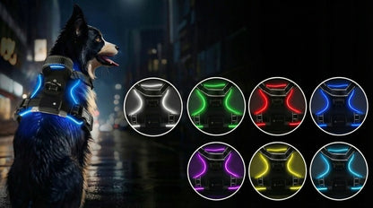 SZELKI DLA PSA ŚWIECĄCE LED MOCNE BEZUCISKOWE LEKKIE WYTRZYMAŁE Z UCHWYTEM